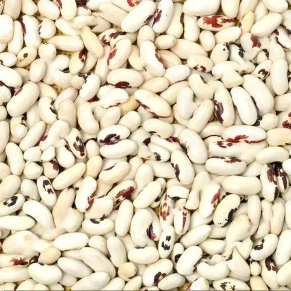 White Kidney Beans